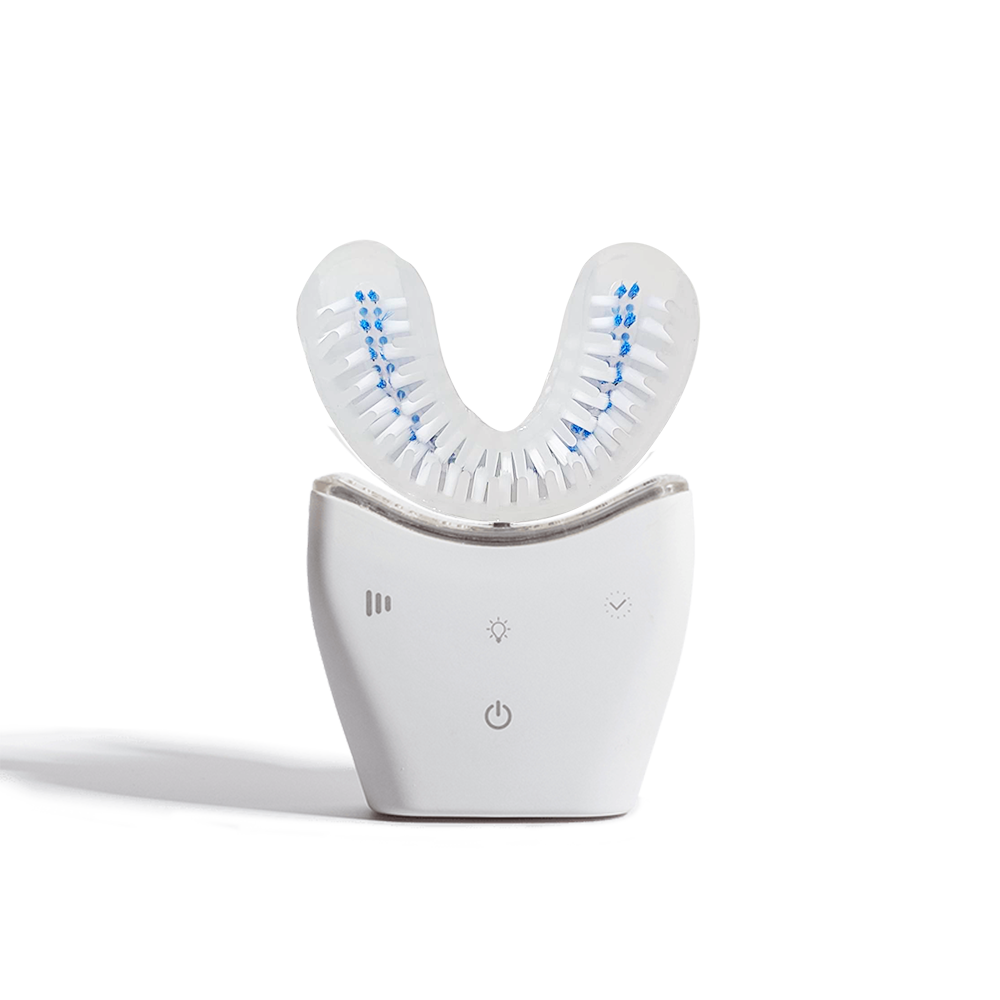 brosse a dent electrique adulte