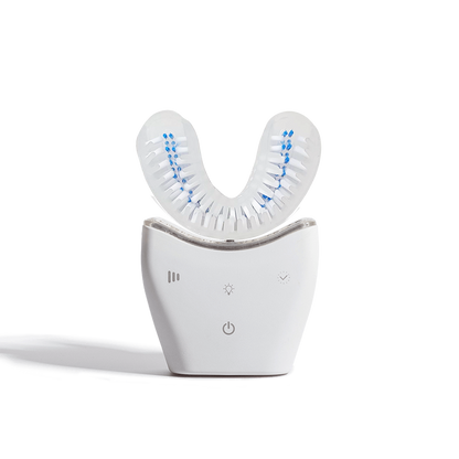 brosse a dent electrique adulte